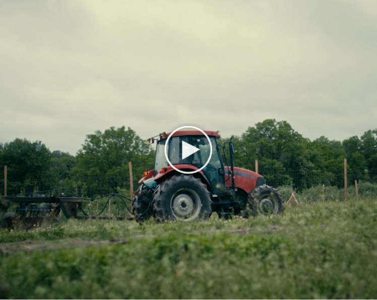 The Field video